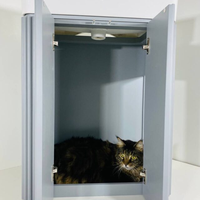 Кошачий туалет на заказ 3