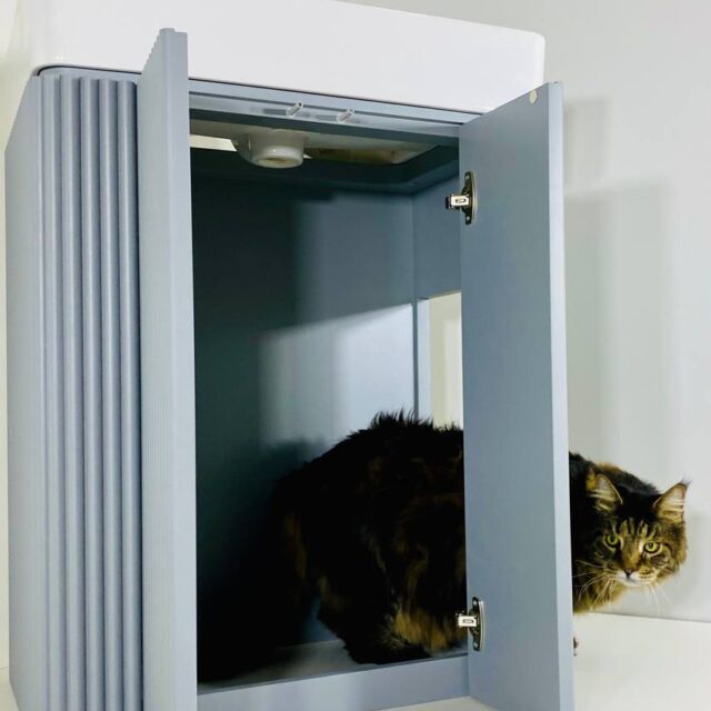 Кошачий туалет на заказ 4